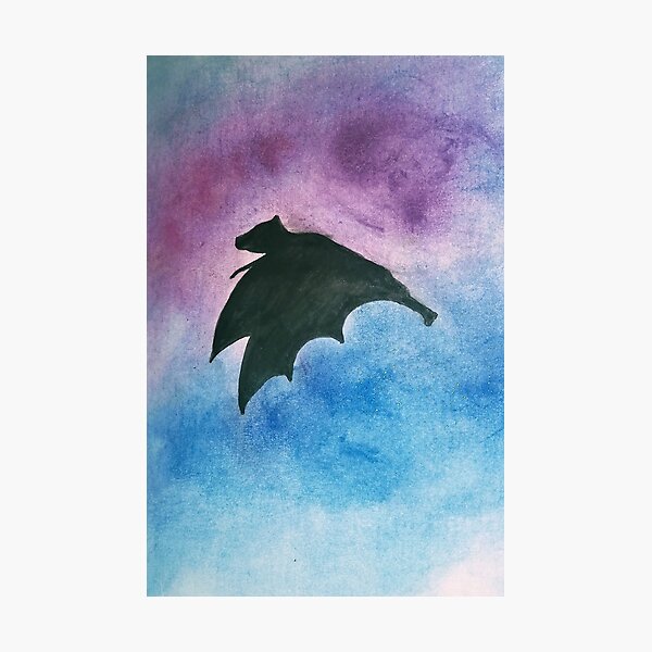 Bat in flight Photographic Print