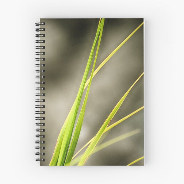 Item preview, Tall grass designed and sold by Ruth Curtis.