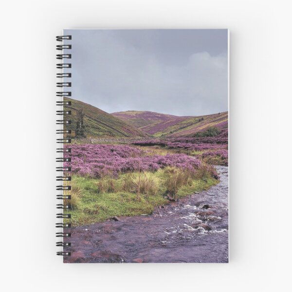 Item preview, Purple heather, near Heriot, Scottish Borders designed and sold by yourscotborders.