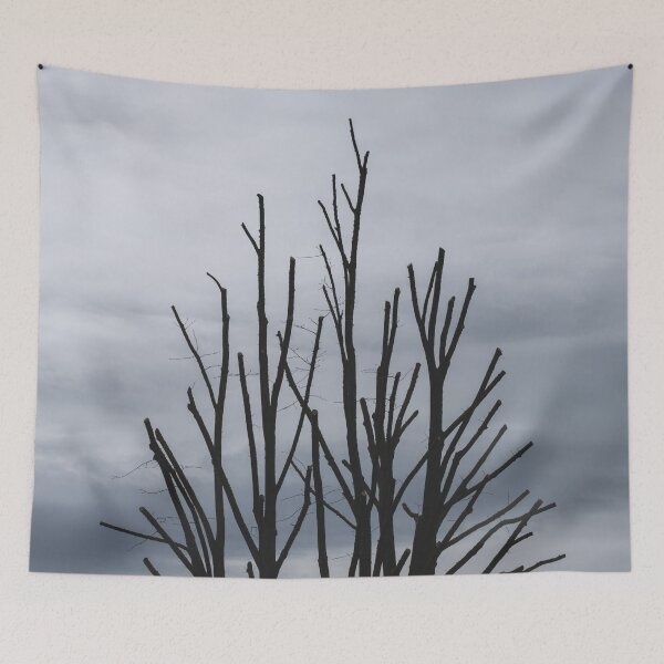Item preview, Tree without Leaves Silhouette designed and sold by EverydayHermit.