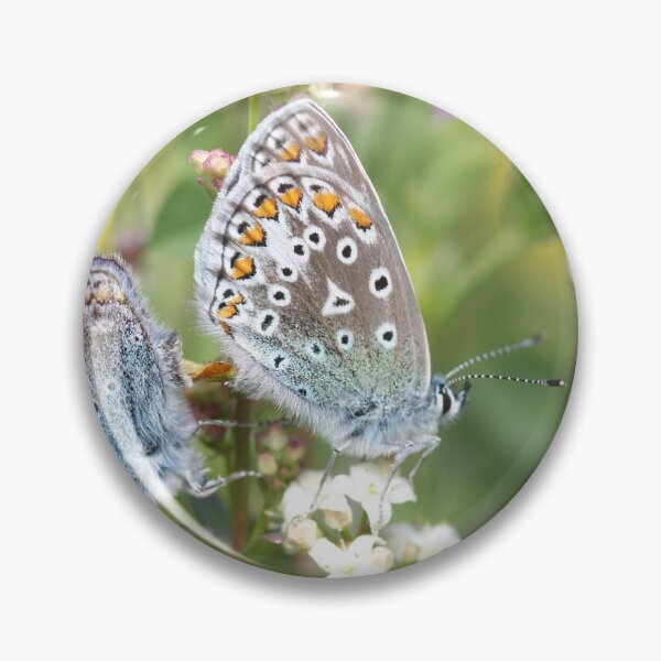 Item preview, BlueWing Butterflies designed and sold by DreamLand-Media.