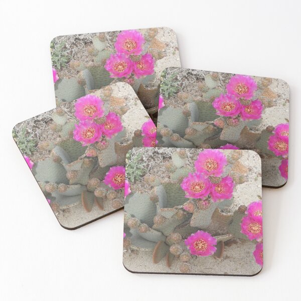 Item preview, Beavertail cactus, nature, gifts, Desert Beauty designed and sold by Sandra O'Toole.