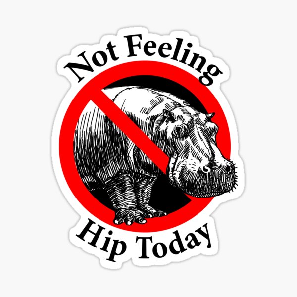 Not Feeling Hip Today - Hippopotamus Sticker