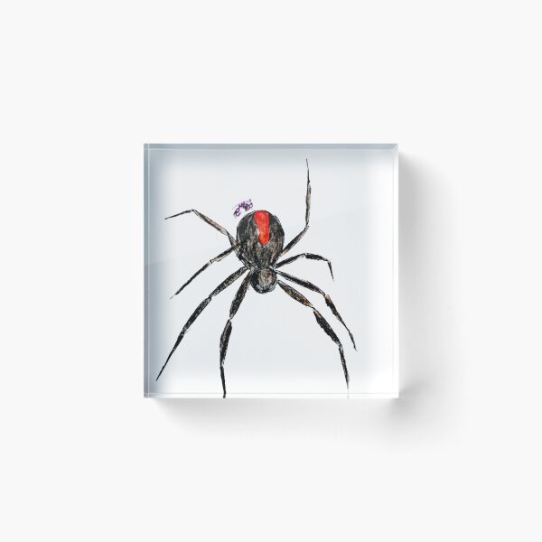 Item preview, Spider print, redback spider designed and sold by CanDo20.