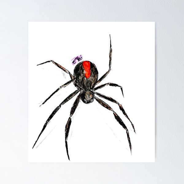 Item preview, Spider print, redback spider designed and sold by CanDo20.