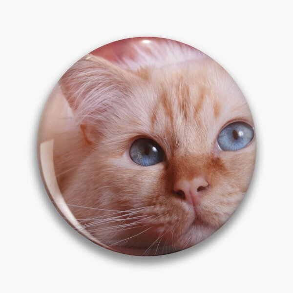 Item preview, Colourful image of a red point Birman Cat with Beautiful Blue Eyes designed and sold by rbguy1960.