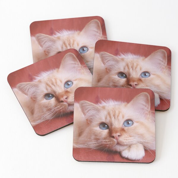 Item preview, Colourful image of a red point Birman Cat with Beautiful Blue Eyes designed and sold by rbguy1960.