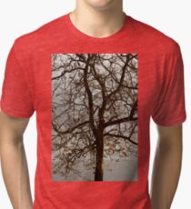 Tree Tri-blend T-Shirt