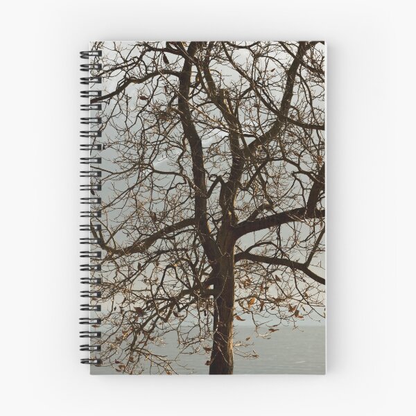 Item preview, Tree designed and sold by Mats Silvan.