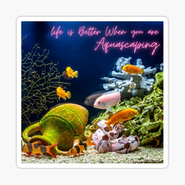 aquascaping supplies near me