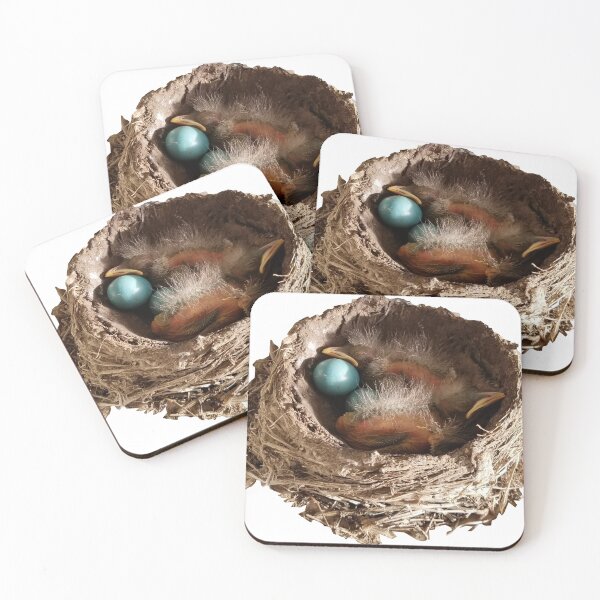 Item preview, Baby Robins designed and sold by Lori Clough.