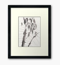 Bamboo Framed Print