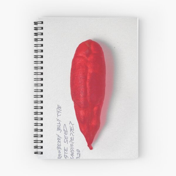 Item preview, strawberry jelly date seed designed and sold by Claudio Pepper.
