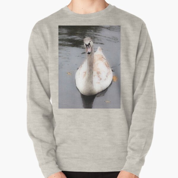 You said something? Pullover Sweatshirt