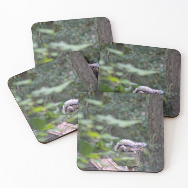 Item preview, squirrel in the forrest designed and sold by cmsmith2364.