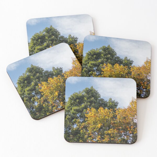 Item preview, Changing Leaves designed and sold by cmsmith2364.