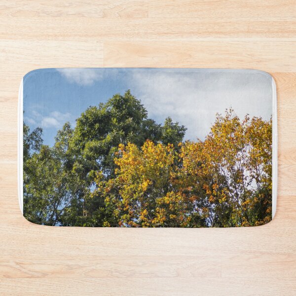 Item preview, Changing Leaves designed and sold by cmsmith2364.