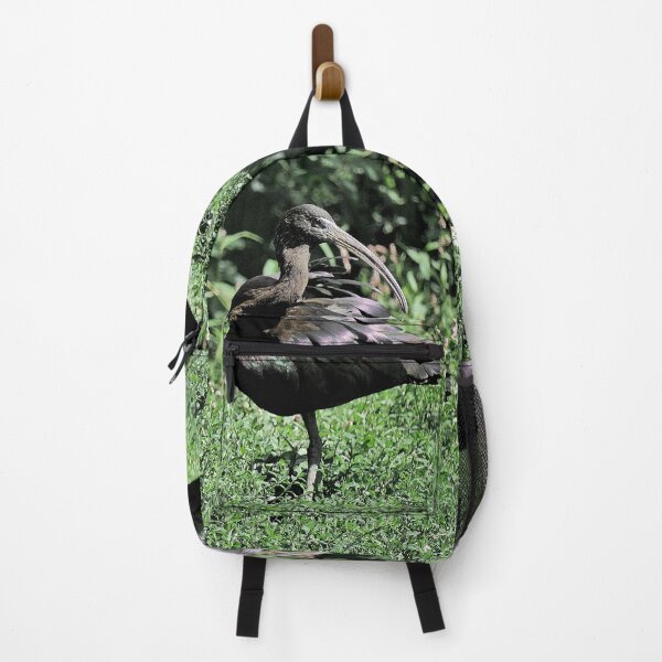 Item preview, r2458/ 12 parc-ornithologique-de-st-hilaire-la-palud - Cigogne noire - 2020 par Okaio Créations - Olavia&Olao designed and sold by o.okaïo.