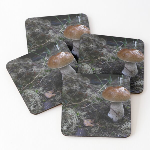 Item preview, mushroom Boletus close to designed and sold by mrivserg.