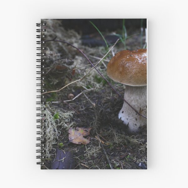 Item preview, mushroom Boletus close to designed and sold by mrivserg.