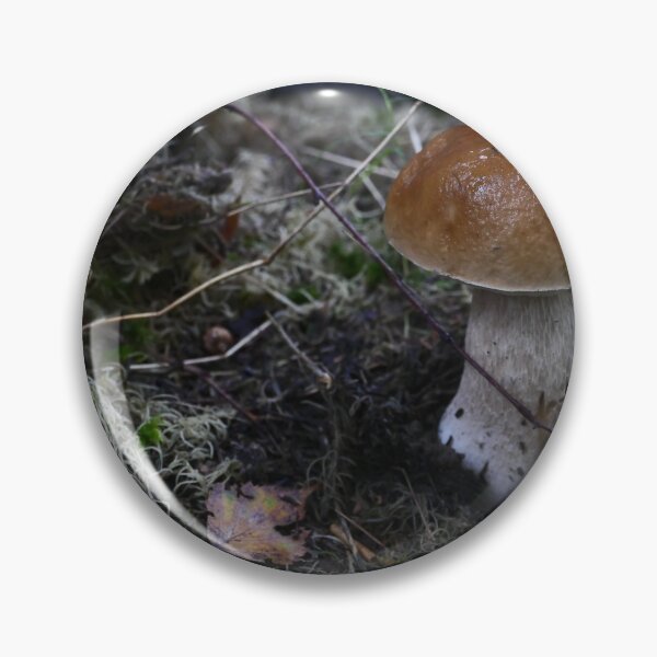 Item preview, mushroom Boletus close to designed and sold by mrivserg.