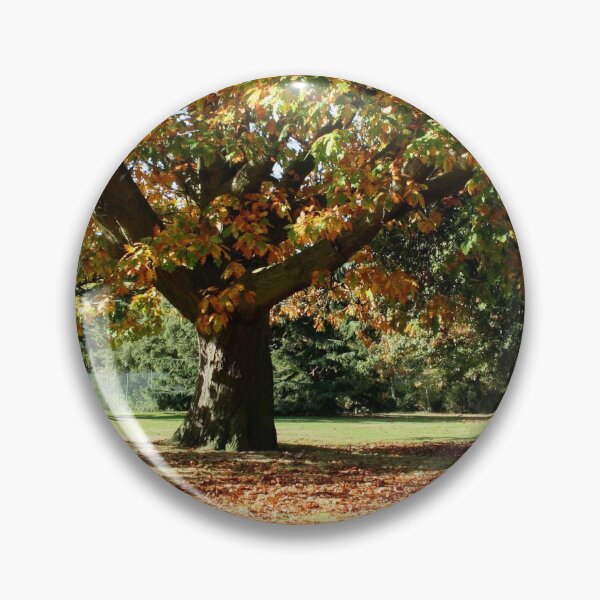 Artikelvorschau, Herbstfarben im Greenwich Park entworfen und verkauft von rbguy1960.