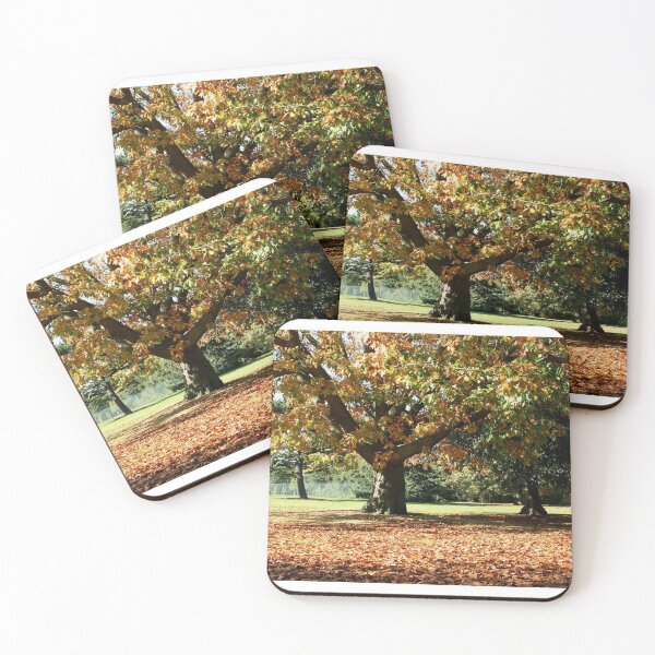 Item preview, Autumn Colours in Greenwich Park designed and sold by rbguy1960.