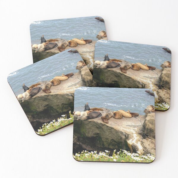 Item preview, Seals in the California Sunshine  designed and sold by heatherfriedman.