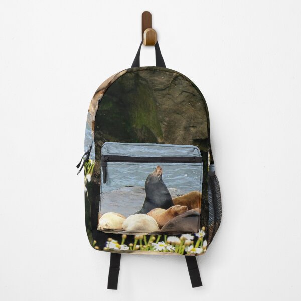 Item preview, Seals in the California Sunshine designed and sold by heatherfriedman.