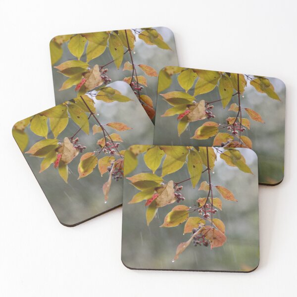 Item preview, Rain in Nature designed and sold by lisapicklepizza.