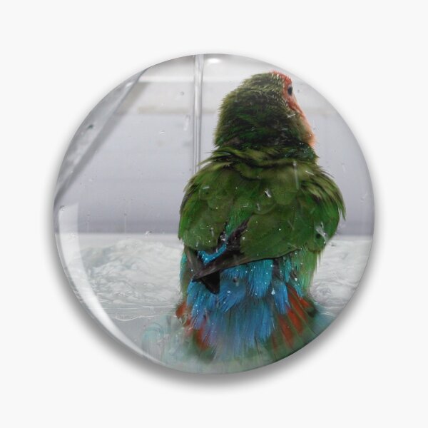 Artikelvorschau, Die Dusche des Lovebirds entworfen und verkauft von Terri Waters Photography & Design.