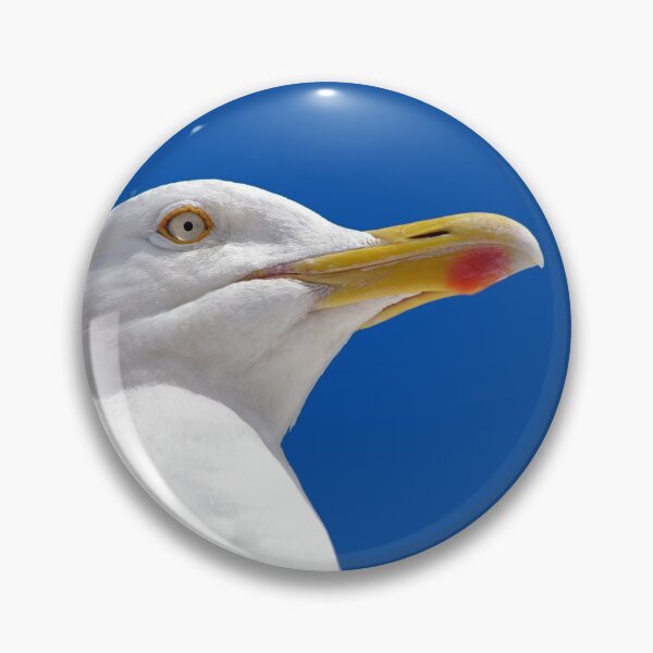Item preview, British Herring Gull designed and sold by Terri Waters Photography & Design.