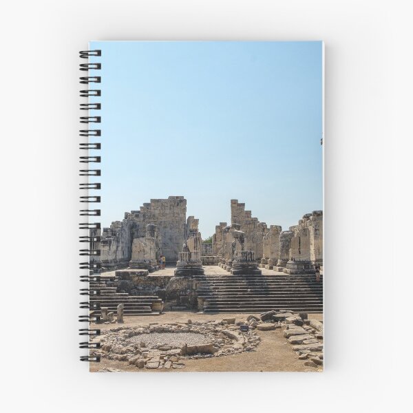 Item preview, Amazing ruins of the ancient Greek Temple of Apollo and Oracle of Didyma  designed and sold by VadimK.