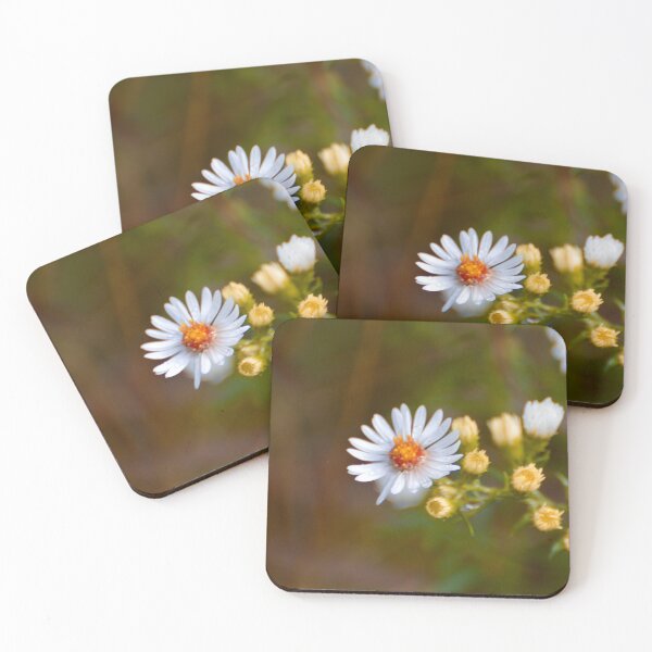 Item preview, Aster  designed and sold by lisapicklepizza.