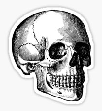 Skull (2) Sticker