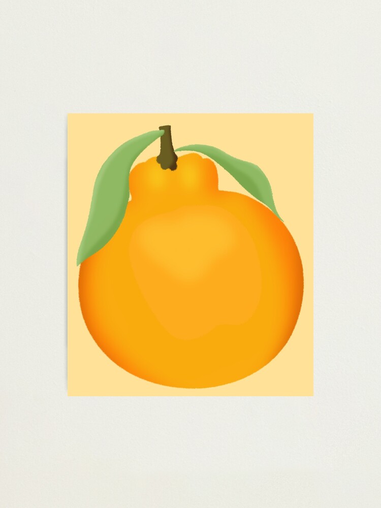 Dekopan – Japanese Orange Photographic Print for Sale by Nabibibi