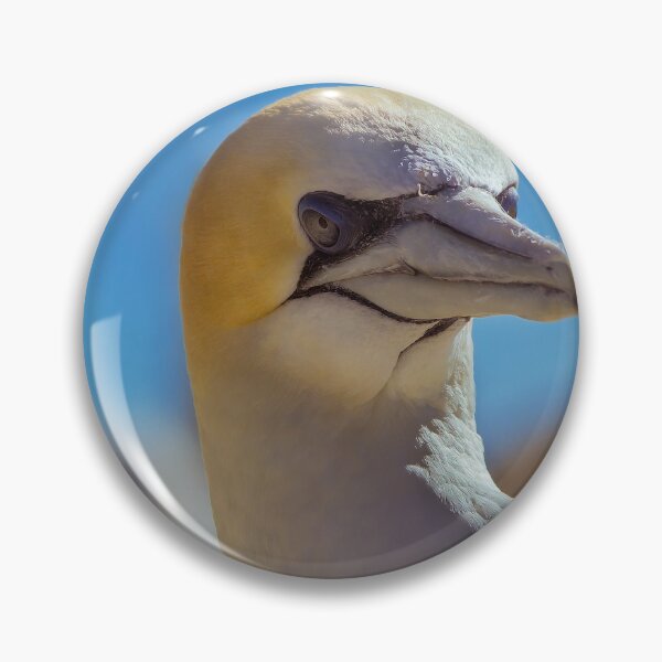 Item preview, Australasian Gannet Portrait designed and sold by DVart-nz.