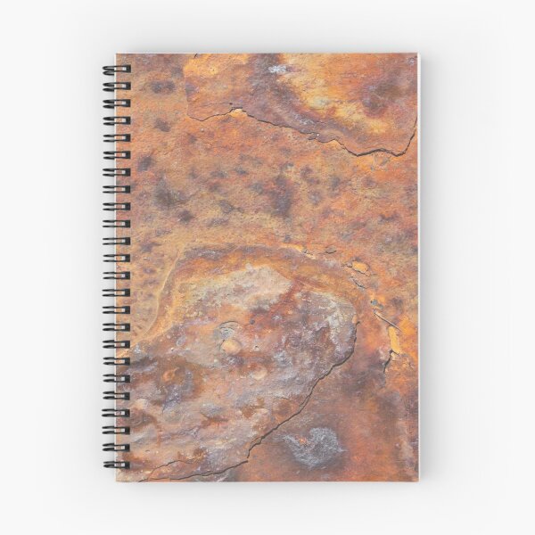 Aperçu de l'œuvre Rusty wall créée et vendue par chantelle bezant.