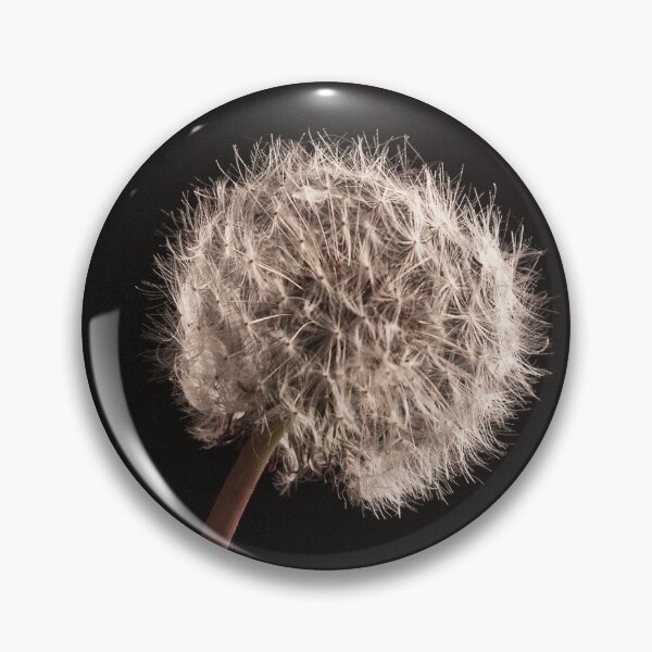 Item preview, You Dont Need To Catch A Falling Star To Make A Wish designed and sold by Terri Waters Photography & Design.