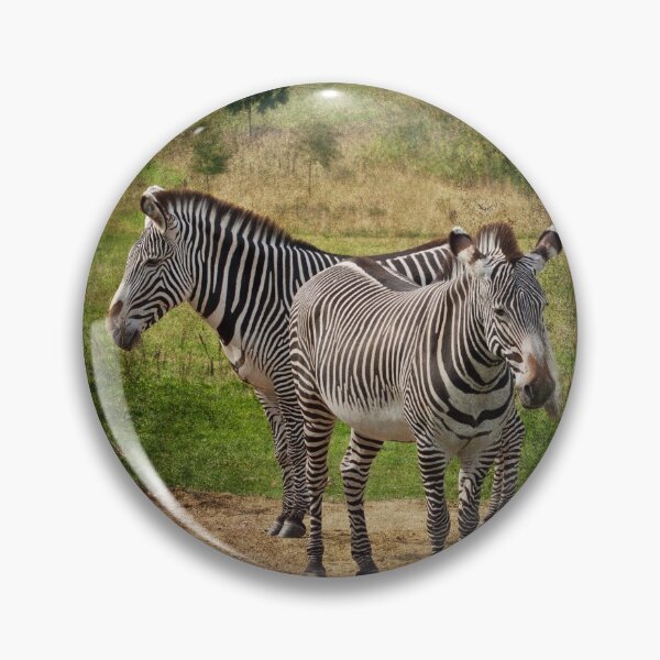 Item preview, Grevy's Zebras designed and sold by Terri Waters Photography & Design.