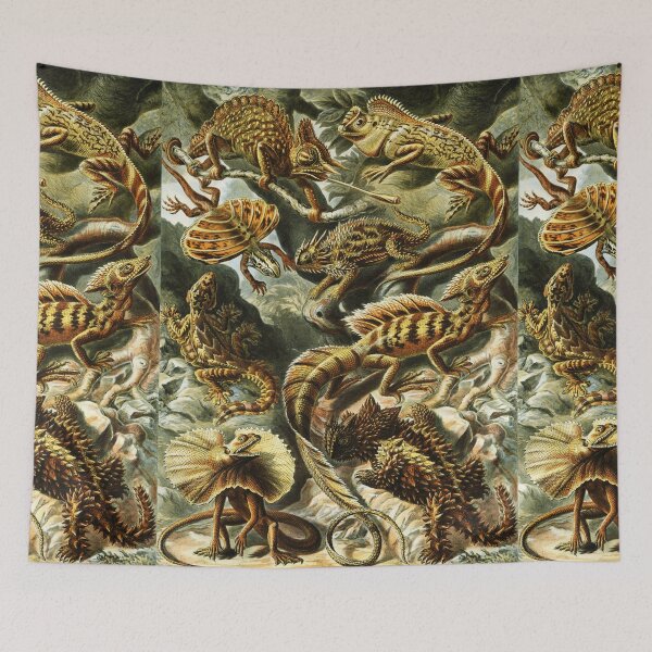 Item preview, LACERTILIA ,LIZARDS,Chameleon,Flying Dragon,Flying Gecko ,Basilisk,Thorny Devil By Haeckel designed and sold by BulganLumini.