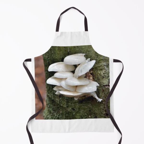 Item preview, When beech trees die, the fungi win designed and sold by jchanders.