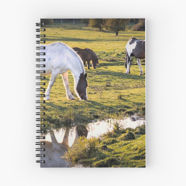 Item preview, Grazing designed and sold by JEZ22.