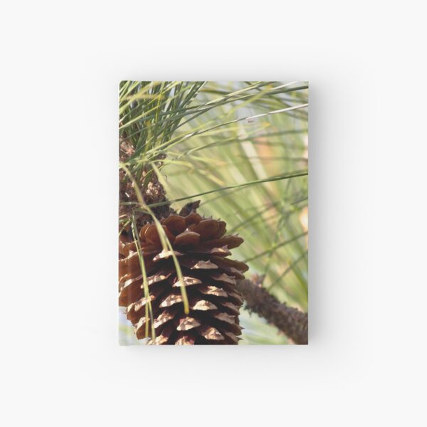 Watercolor Cone, Ponderosa Pine 02, Deer Mountain, RMNP, Colorado Hardcover Journal