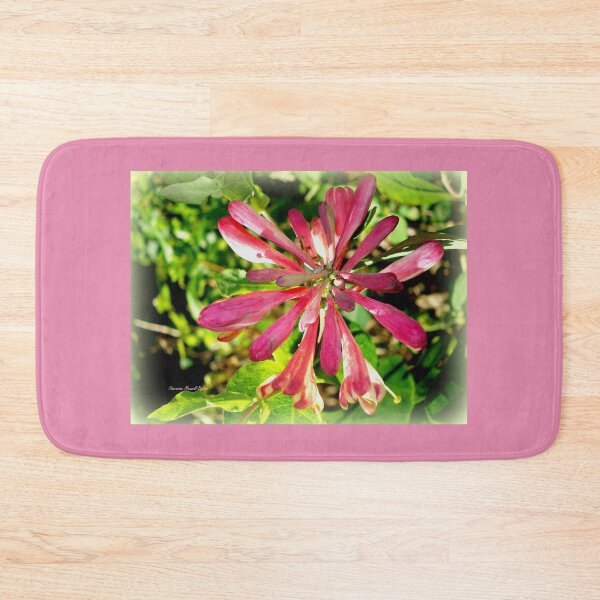 Item preview, Fragrant Honeysuckle designed and sold by Charmiene Maxwell-Batten.