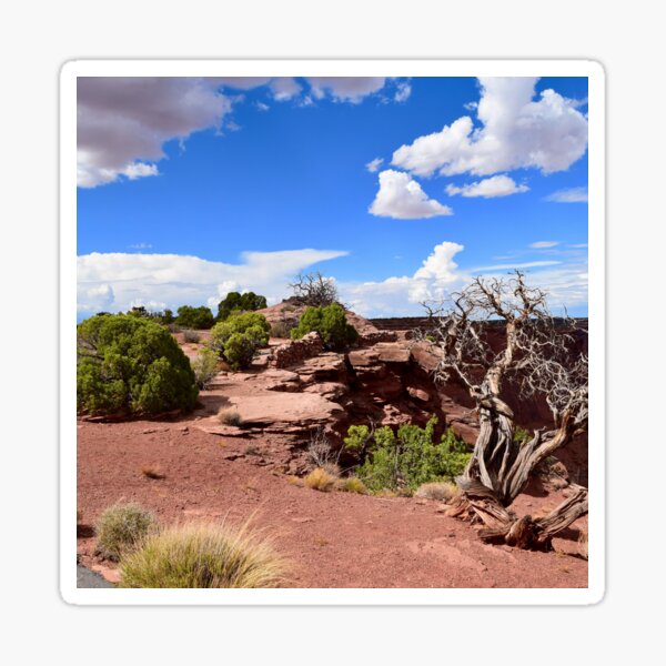 Item preview, High Desert View designed and sold by WoodburyLake.