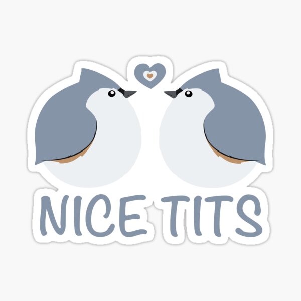 Nice pair of tits Stickers, Unique Designs