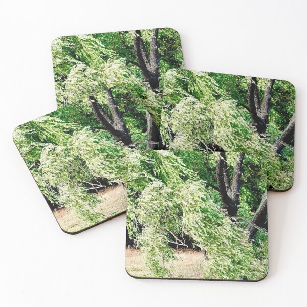Item preview, Windy day in a park. designed and sold by lightworks.