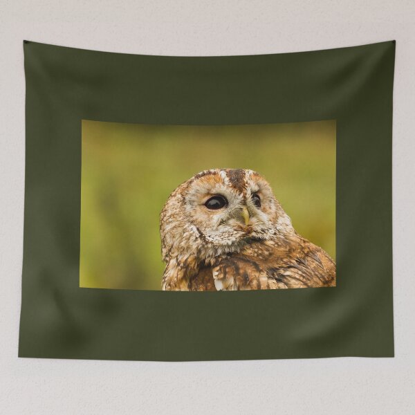 Item preview, Tawny Owl Profile designed and sold by Jane Stanley Photography.