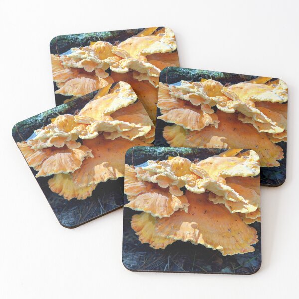 Item preview, fire fungus designed and sold by rainingcrow.